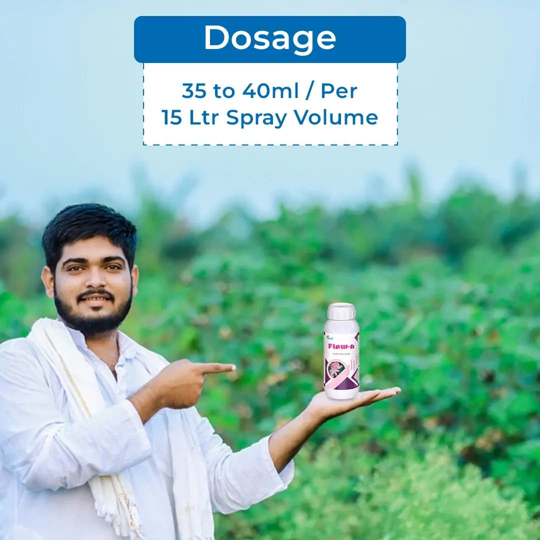 फ्लो एन - नाइट्रोबेंजीन 35% सर्वोत्तम फूल उत्तेजक, जड़ वृद्धि बढ़ाएं, जल धारण क्षमता, मिट्टी का कटाव कम करें, जैविक उर्वरक - Image 6