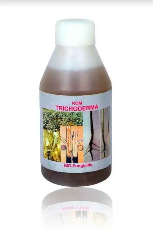 ROM Tricho Bio fungicide (Trichoderma Viride) Liquid Form, CFU of 2 x 10^8 Per ml