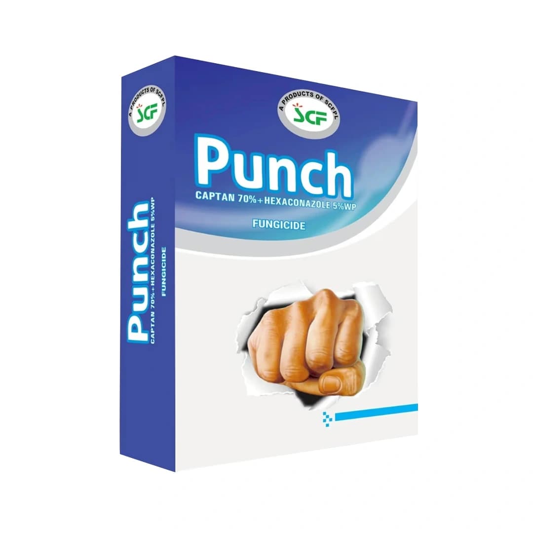 EBS Punch Fungicide - Captan 70% + Hexaconazole 5% WP - Image 2