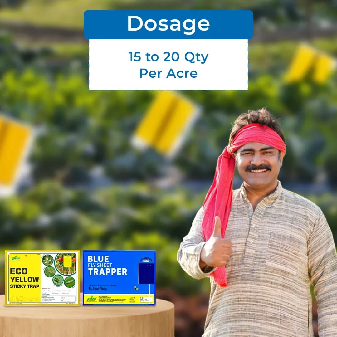 Eco Sticky Trap for Thrips, Aphids, Leaf Miner, Fungus Gnat, Jassids, & all Harmful Flying Insects A5 Size (150 MM X 200 MM) - Image 6