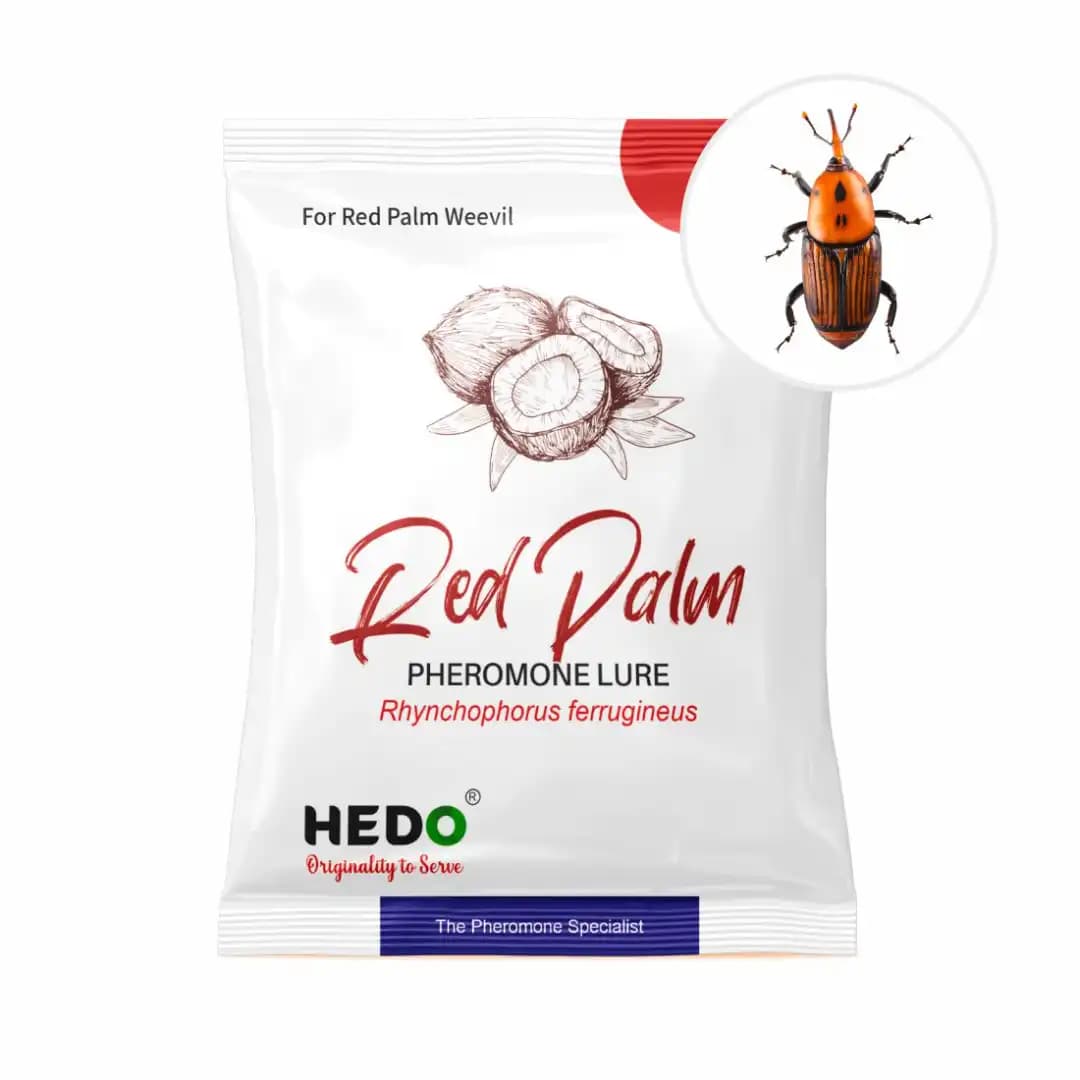 HEDO Red Palm Weevil Bucket Trap With Pheromone Lure (Rhynchophorus Ferrugineus) Control In Coconut, Date Palm, Oil Palm And Arecanut Palm - Image 2