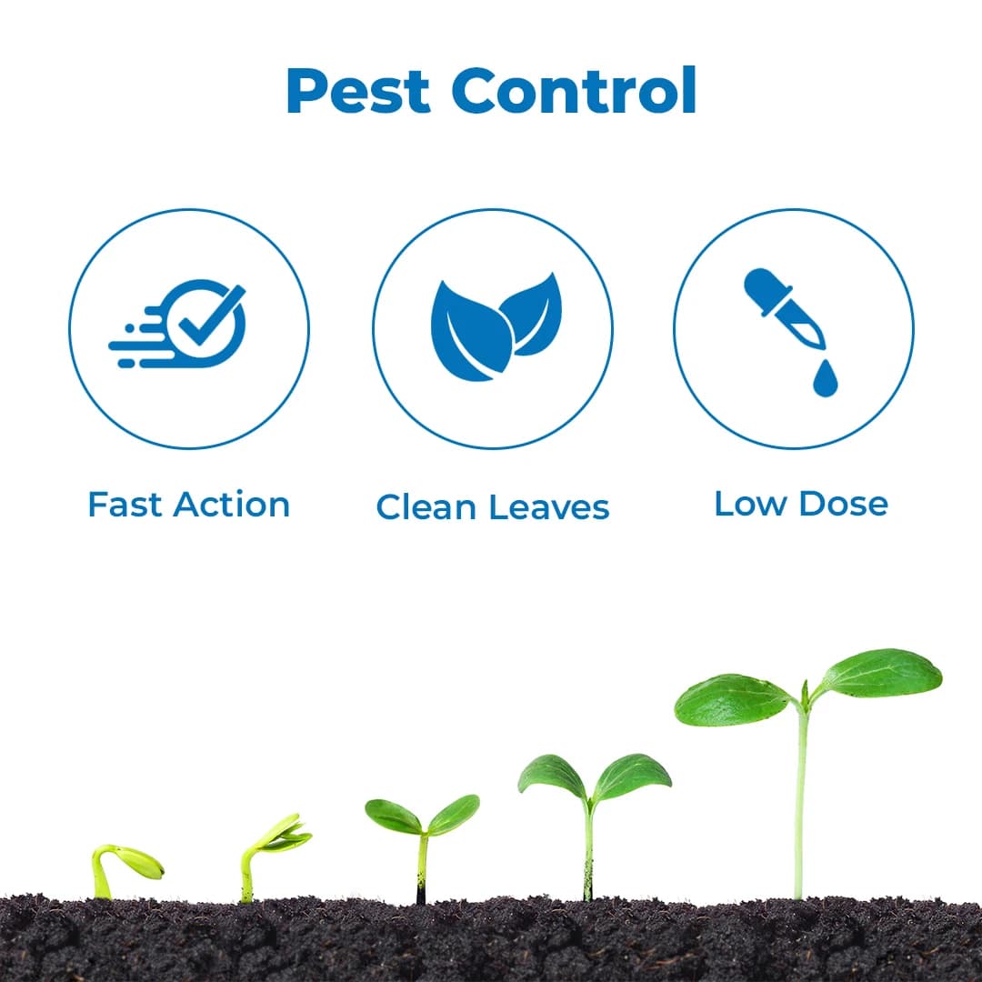 एग्रीवेंचर आईएमए गोल्ड (इमिडाक्लोप्रिड 30.5% एससी) निर्माण से पहले और बाद में इमारतों में दीमक का प्रणालीगत कीटनाशक नियंत्रण - Image 3