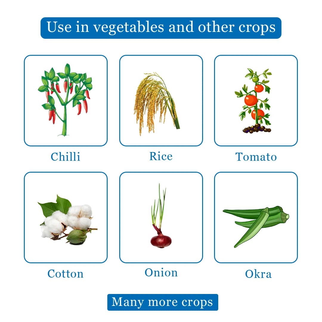 FMC Chemdoot Emamectin Benzoate 5% SG Insecticide , It Controls The Caterpillars Present On The Lower Surface Of The Leaves - Image 4