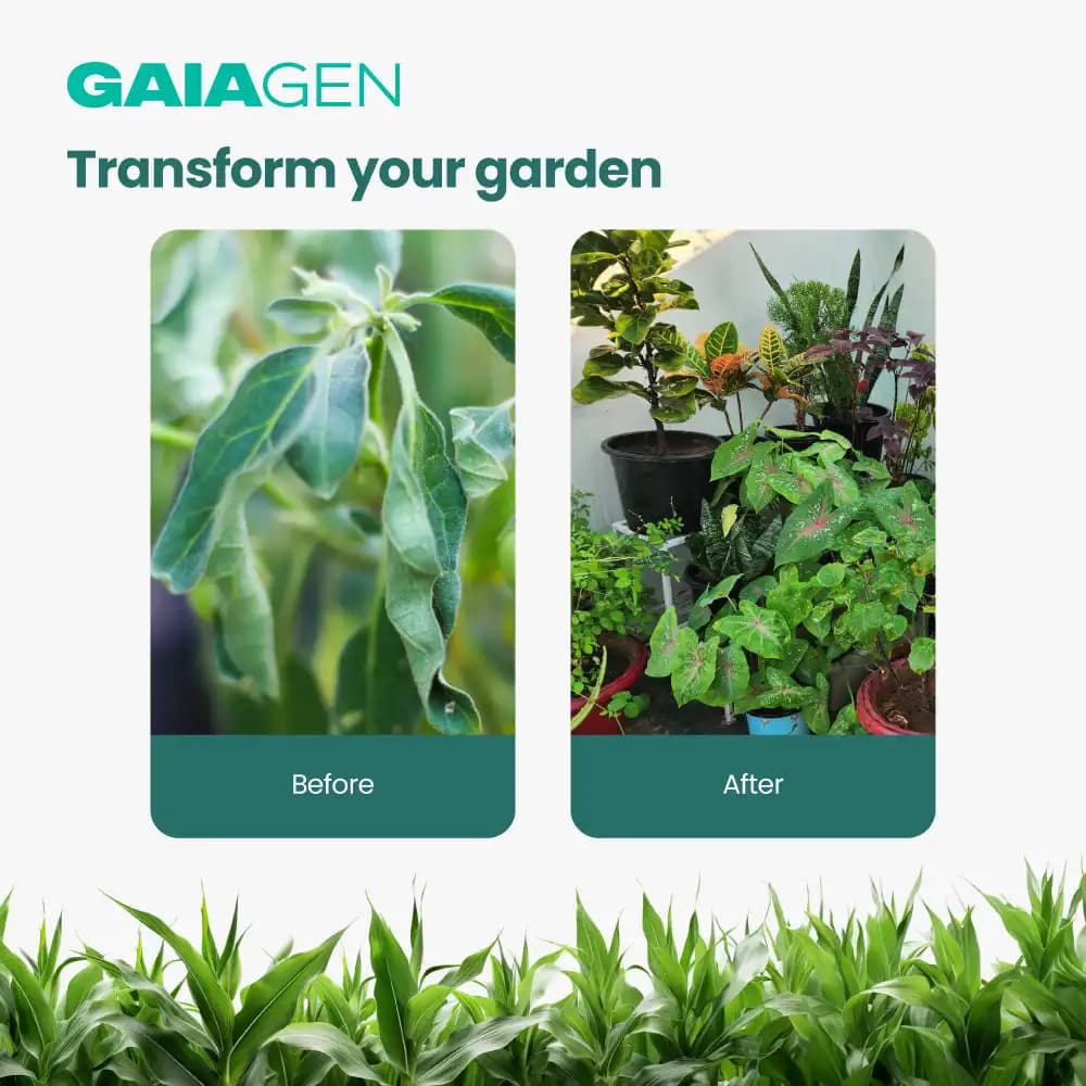 Gaiagen NEEM BAAN Azadirachtin 0.15%, 1500 PPM, Dual Protection Against Pests & Diseases - Image 8