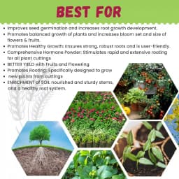 Katyayani Root Fast Rooting Hormone Powder, Boost Root Growth And Rooting System 5