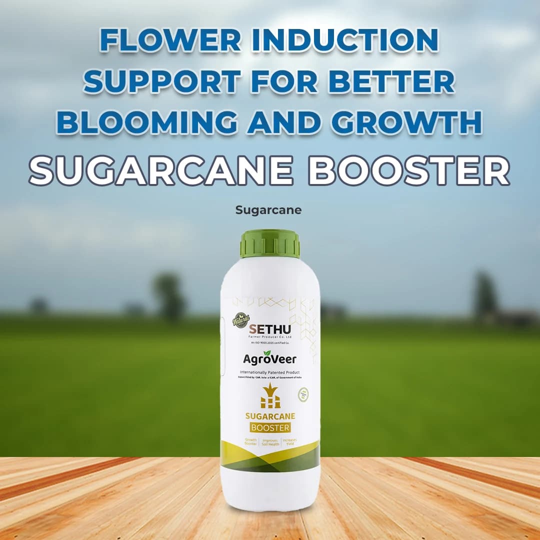 Agroveer Sugarcane Booster - Growth Promoter - Image 2