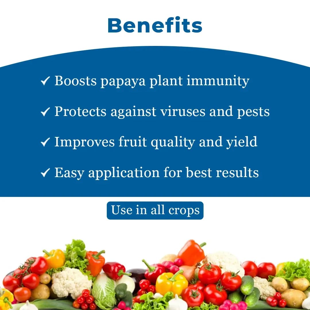 YK Laboratory Papaya Special (Set of Immuno 1 ltr + Enviro 1 ltr + Cyto Plus 550ml) - Image 4