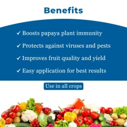 YK Laboratory Papaya Special (Set of Immuno 1 ltr + Enviro 1 ltr + Cyto Plus 550ml) 4