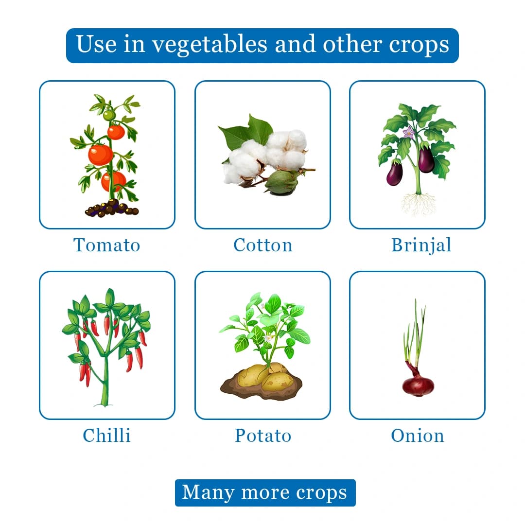 Vamxon - Vesicular Arbuscular Mycorrhiza Biofertilizer - Image 4