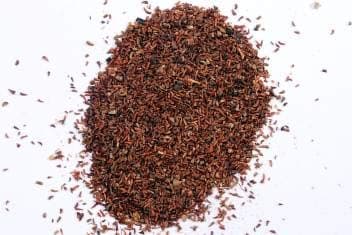 SRI SAI FORESTRY - Eucalyptus Nilgiri , Best Paper wood Tree, Hard Timber & Fast Growing Firewood Tree seeds - Image 3