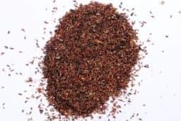 SRI SAI FORESTRY - Eucalyptus Nilgiri , Best Paper wood Tree, Hard Timber & Fast Growing Firewood Tree seeds 3