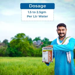 Krishi Rasayan Kritap 50 Cartap Hydrochloride 50% SP Insecticide, It Controls All Stages Of Insects. 5