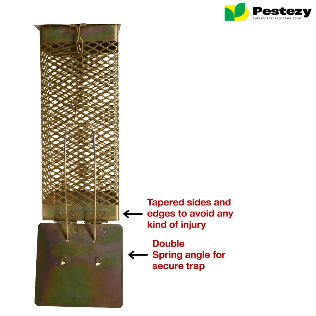 Pestezy Mouse Or Rat Trap Cage, Humane, Durable, Safe And Easy to Use, Cross Design, Allowing For Safe Release - Image 7