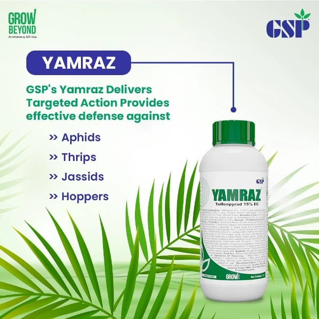 GSP Yamraz Insecticide - Image 2