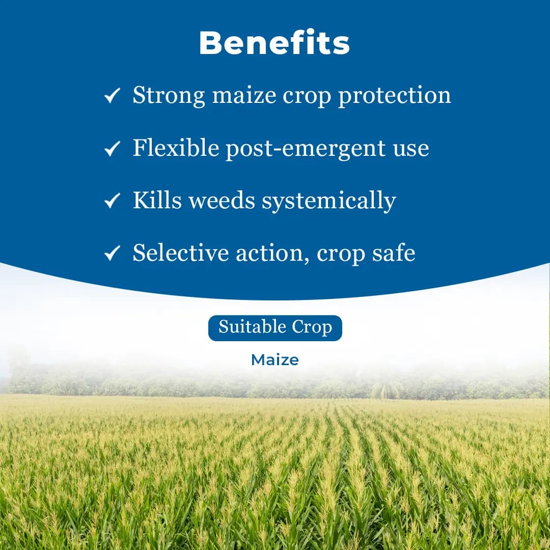 JU Loud Tembotrione 34.4% SC Herbicide, Post-Emergence, Effective Broadleaf & Grass Weeds Control In Maize - Image 5