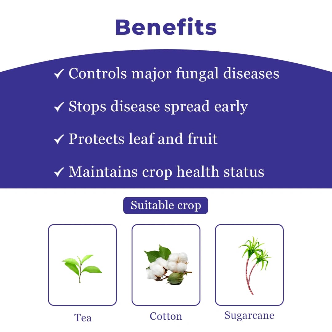 Exylon Aether Fungicide - Azoxystrobin 18.2% + Difenoconazole 11.4% SC - Image 4