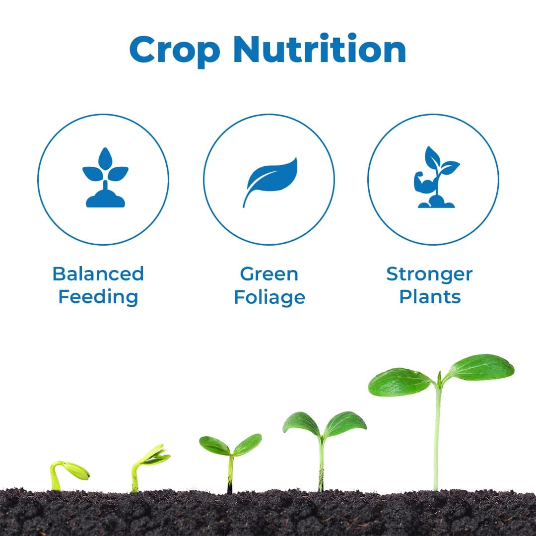 Multiplex General Liquid - Micronutrient Liquid Fertilizer - Image 3