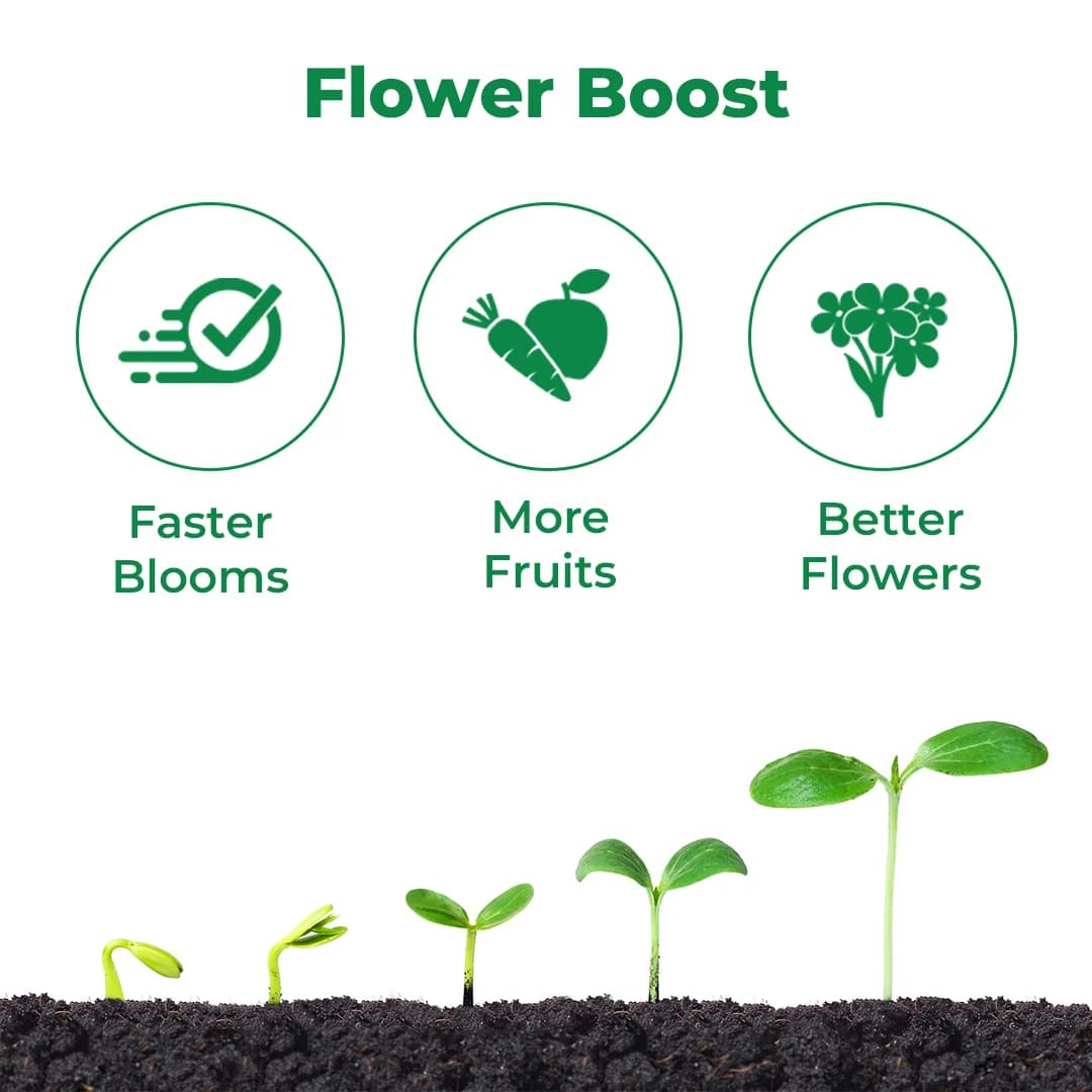 आनंद स्केल अप (ब्रैसिनोलाइड) फूलने वाला बायो स्टिमुलेंट - आकार बढ़ाने वाला, बेरी के आकार और कुरकुरे, चमकदार फल सुधारता है, और बेरी का वजन बढ़ाता है। - Image 3