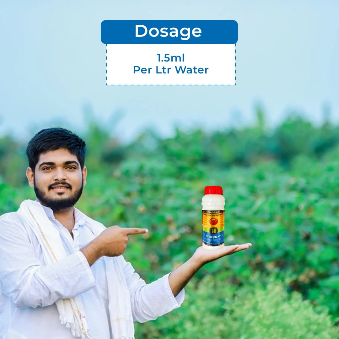 Lihoguard Chlormequat Chloride 50% SL, Widely Used In Agriculture For Boosting The Crop Yields. - Image 5