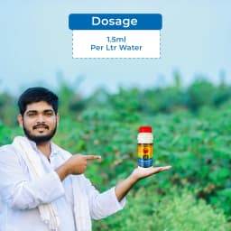 Lihoguard Chlormequat Chloride 50% SL, Widely Used In Agriculture For Boosting The Crop Yields. 5