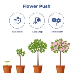 Mahadhan Flowering Special Fertilizer NPKS 9:27:18:7.5 , 100% Water Soluble Mixture Fertilizer, Use for All crops. 3