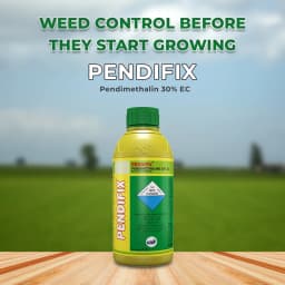 जीएसपी पेंडिफ़िक्स पेंडिमेथालिन 30% ईसी, प्रमुख फसलों के लिए प्री-इमर्जेंस चयनात्मक खरतपरवारनाशक 2