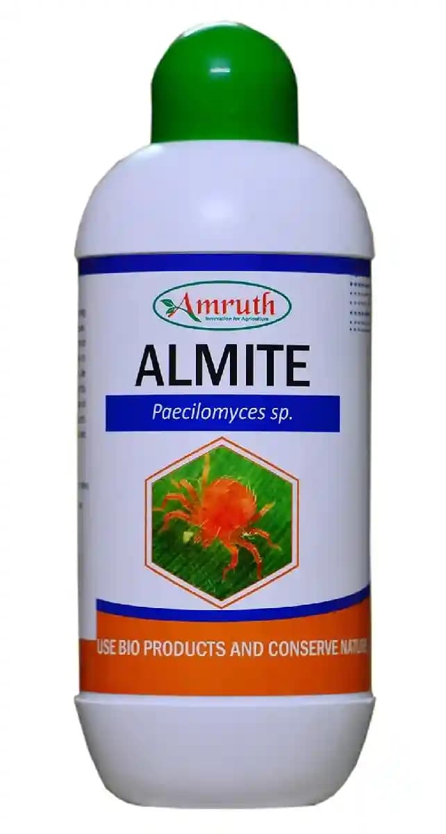 Amruth ALMITE (Paecilomyces Fumosoroseus) Biological Insecticide, Best For Brown Wheat Mite, Rust Mite, Blue Oat Mites, Red Spider Mites etc., - Image 1