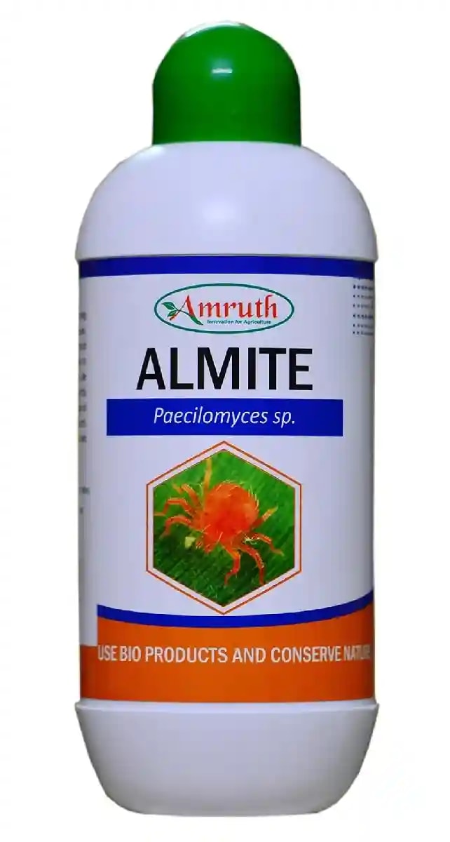 Amruth ALMITE (Paecilomyces Fumosoroseus) Biological Insecticide, Best For Brown Wheat Mite, Rust Mite, Blue Oat Mites, Red Spider Mites etc.,