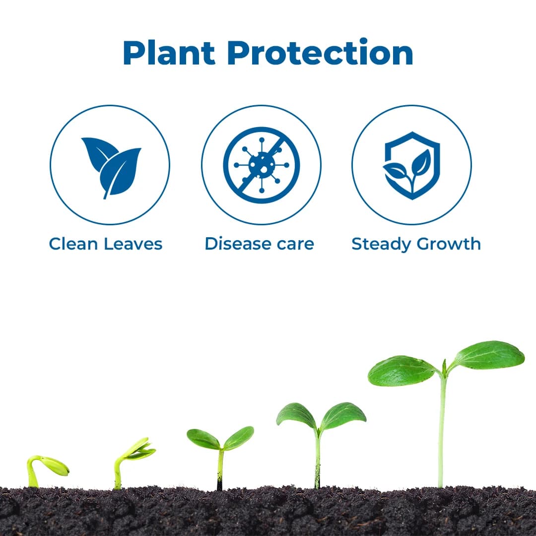 Agriventure Sulph Gold (Sulphur 80% WDG) Contact Fungicide, Used for the Control of Powdery Mildew For Grapes and Mango - Image 3