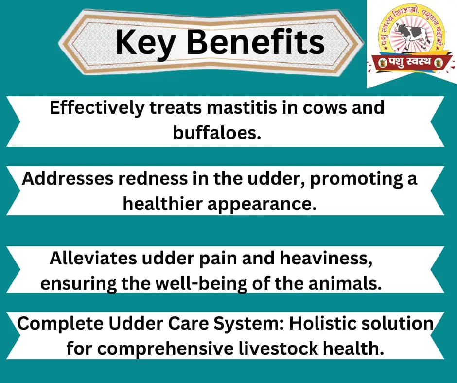 PASHU SVASTH THUN SAFE POWDER, Animal Health Supplements, Natural Mastitis & Udder Care Herbal Remedy For Dairy Animals - Image 2