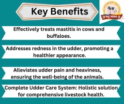 PASHU SVASTH THUN SAFE POWDER, Animal Health Supplements, Natural Mastitis & Udder Care Herbal Remedy For Dairy Animals 2