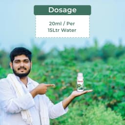 Miraj Botanical Extract - Special Solution for Whitefly and Green Jassid Control, Non-Toxic and Eco-Friendly 5