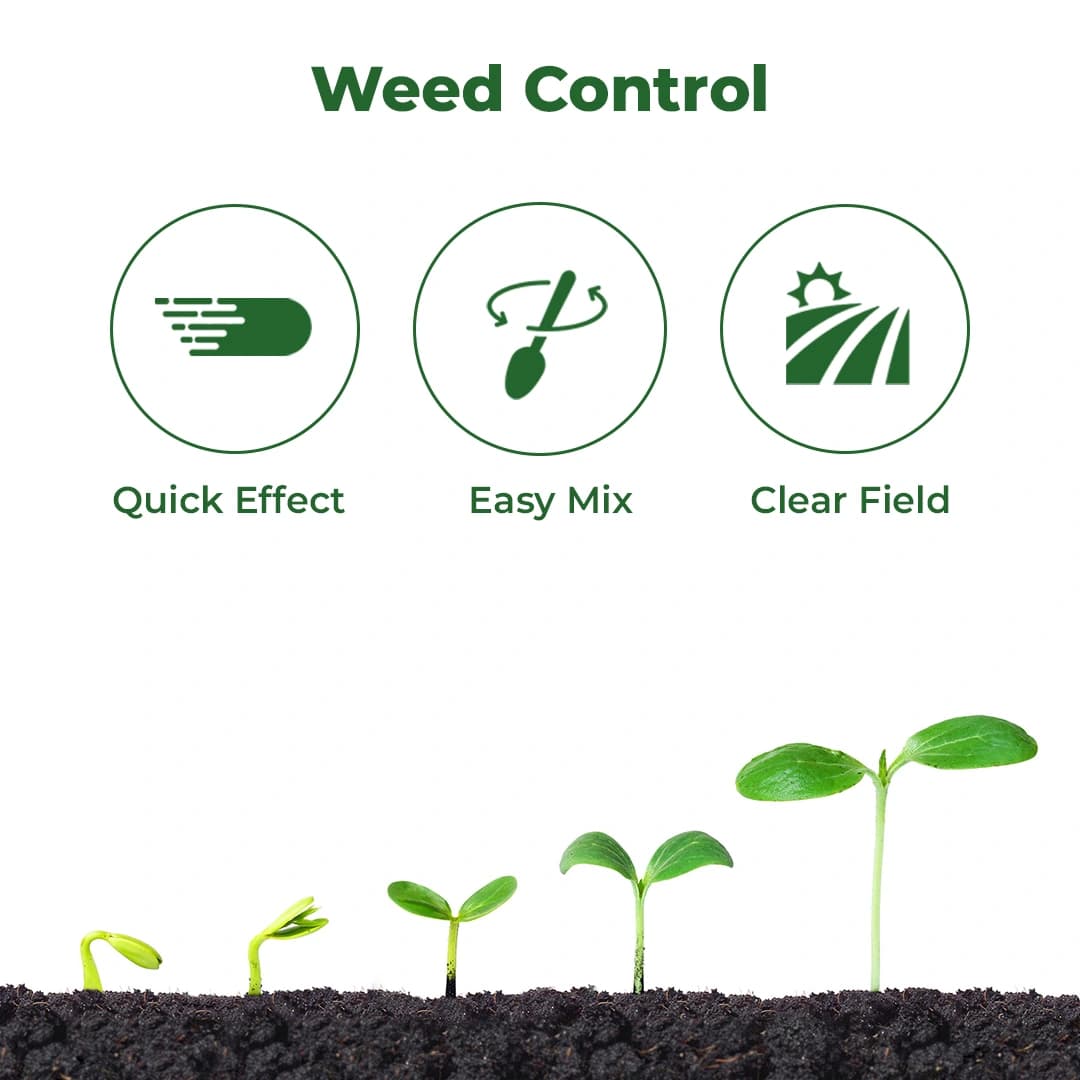 Agriventure Ameen ( 2,4-D Amine Salt 58 % S.L ) Broad Spectrum And Selective Herbicide - Image 3