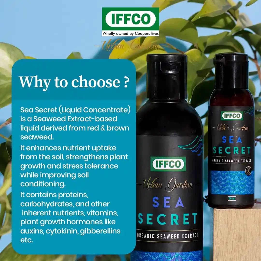 IFFCO Urban Garden Sea Secret Organic Seaweed Extract, Water Soluble Growth Promoter Liquid - Image 4