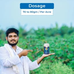 Dhanuka EM-1 Emamectin Benzoate 5% SG Insecticide, Contact And Stomach, Effective Control Caterpillars In Crops 5