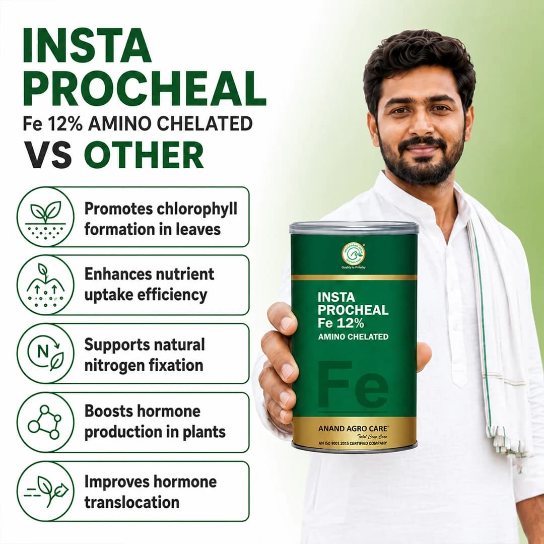 ಆನಂದ್ ಅಗ್ರೋ ಇನ್ಸ್ಟಾ ಪ್ರೋಚೀಲ್ ಫೆರಸ್ 12% ಅಮಿನೋ ಚೆಲೇಟೆಡ್ ಫೆರಸ್, ಸಾರಜನಕ ಸ್ಥಿರೀಕರಣದ ನೈಸರ್ಗಿಕ ಪ್ರಕ್ರಿಯೆಯನ್ನು ಬೆಂಬಲಿಸುತ್ತದೆ - Image 3