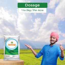 Mahadhan 00:00:50 Potassium Sulphate, Water Soluble Fertilizer, Best For All Plants. 5