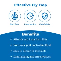 Maxplus Trap with Fruit Fly Lure (Bactrocera Correcta, Zonata, Dorsalisa Pheromone Lure) For Mango, Guava, Sapota, Citrus, Banana, and Papaya 3