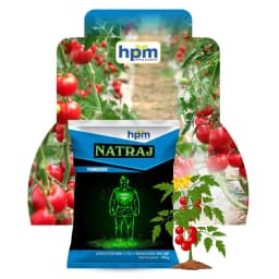 HPM Natraj Azoxystrobin 11.5% + Mancozeb 30% WP, Contact and Systemic Broad Spectrum Fungicide 3