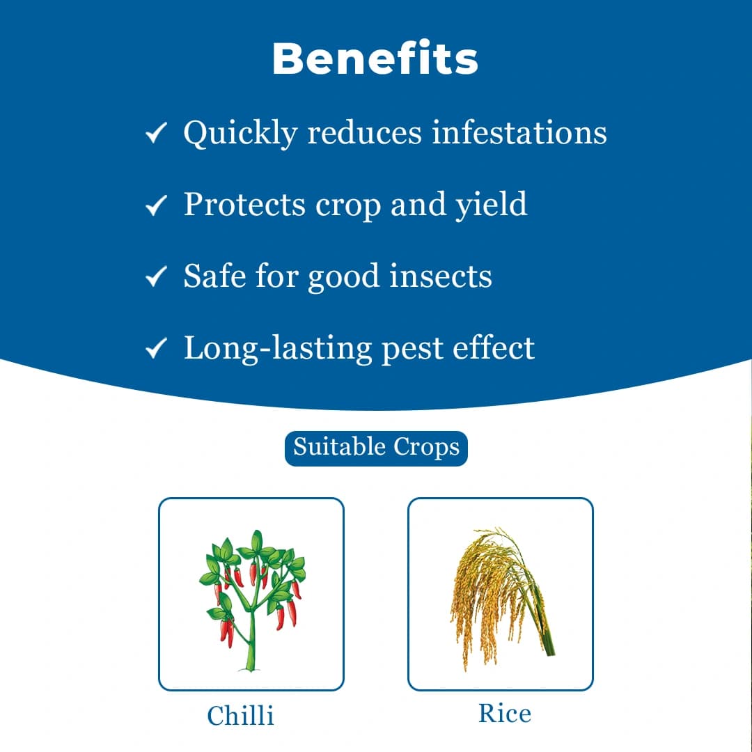 UPL Gunther Novaluron 5.25% + Emamectin Benzoate 0.9 % SC Insecticides, Best For Chilli. - Image 4