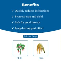 UPL Gunther Novaluron 5.25% + Emamectin Benzoate 0.9 % SC Insecticides, Best For Chilli. 4