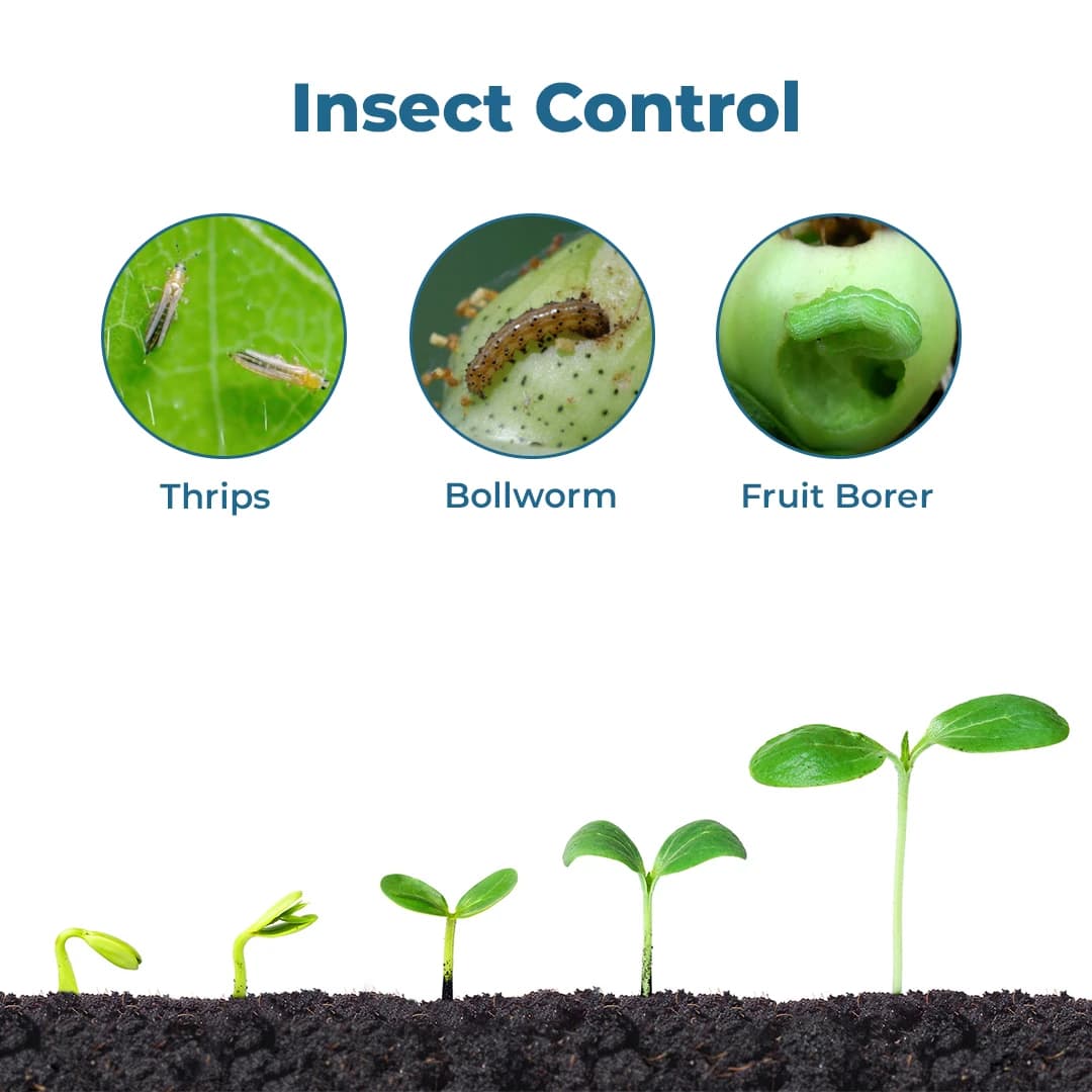 Krishigiri KRICYTHION Ethion 40% + Cypermethrin 5% EC Insecticide, Effective For Cotton And Chilli Crops - Image 3