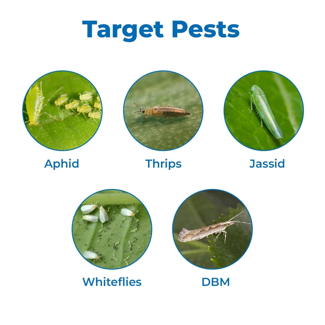 Pi Keefun Inseticide - Image 3