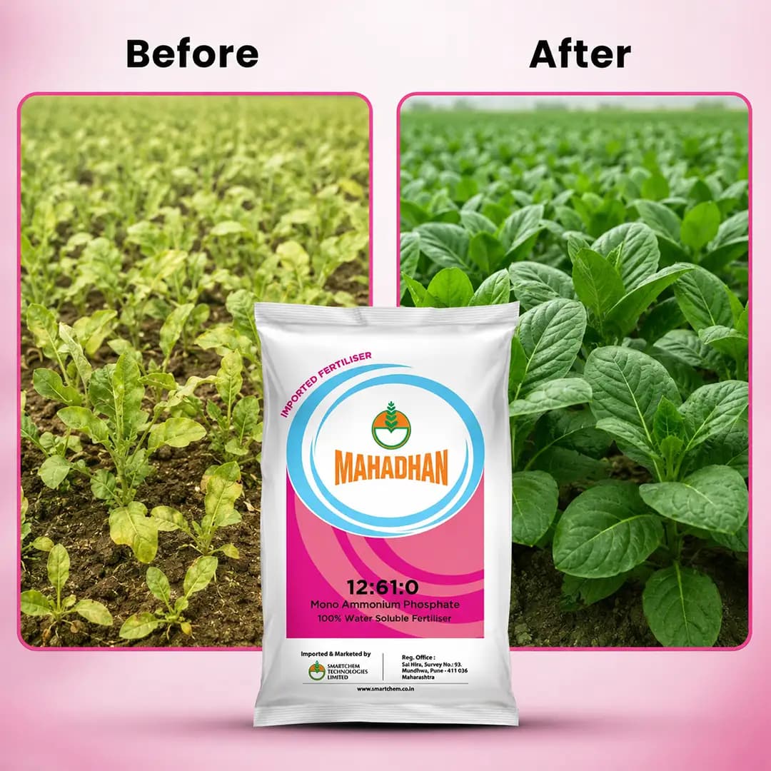 Smartchem Mahadhan 12:61:0 MAP Fertilizer - Image 2