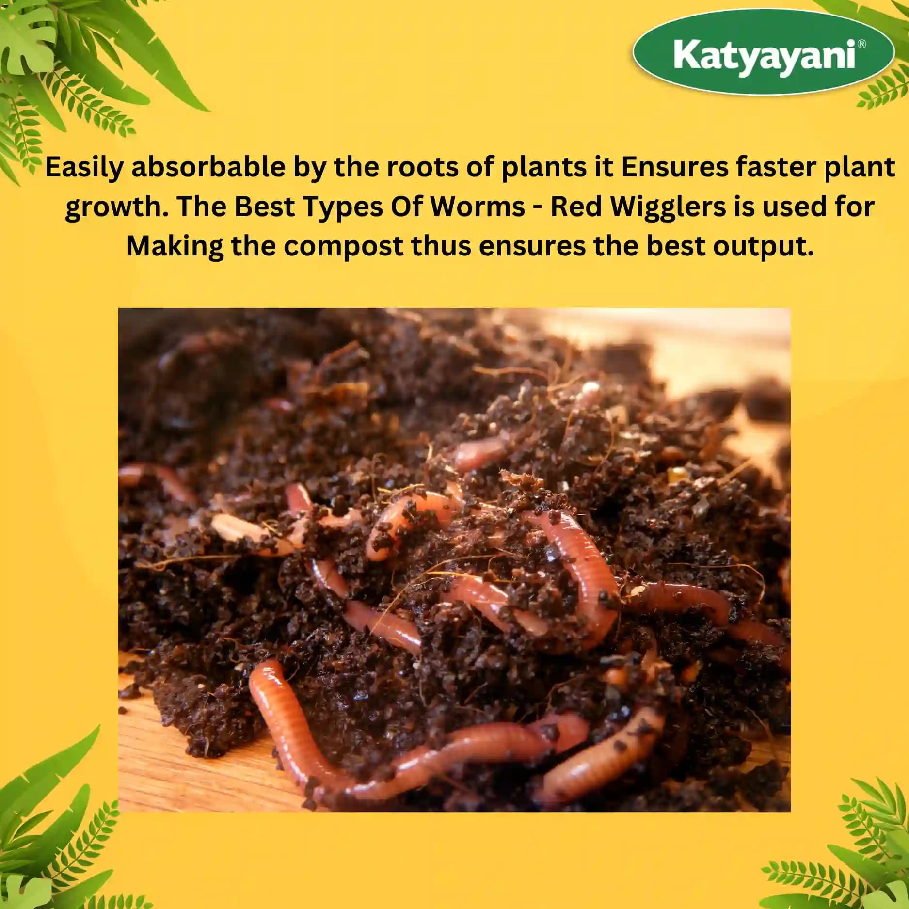 Katyayani Enriched Vermicompost Fertilizer, Premium Organic Compost For Enhanced Soil Health and Boost Crop Growth - Image 5