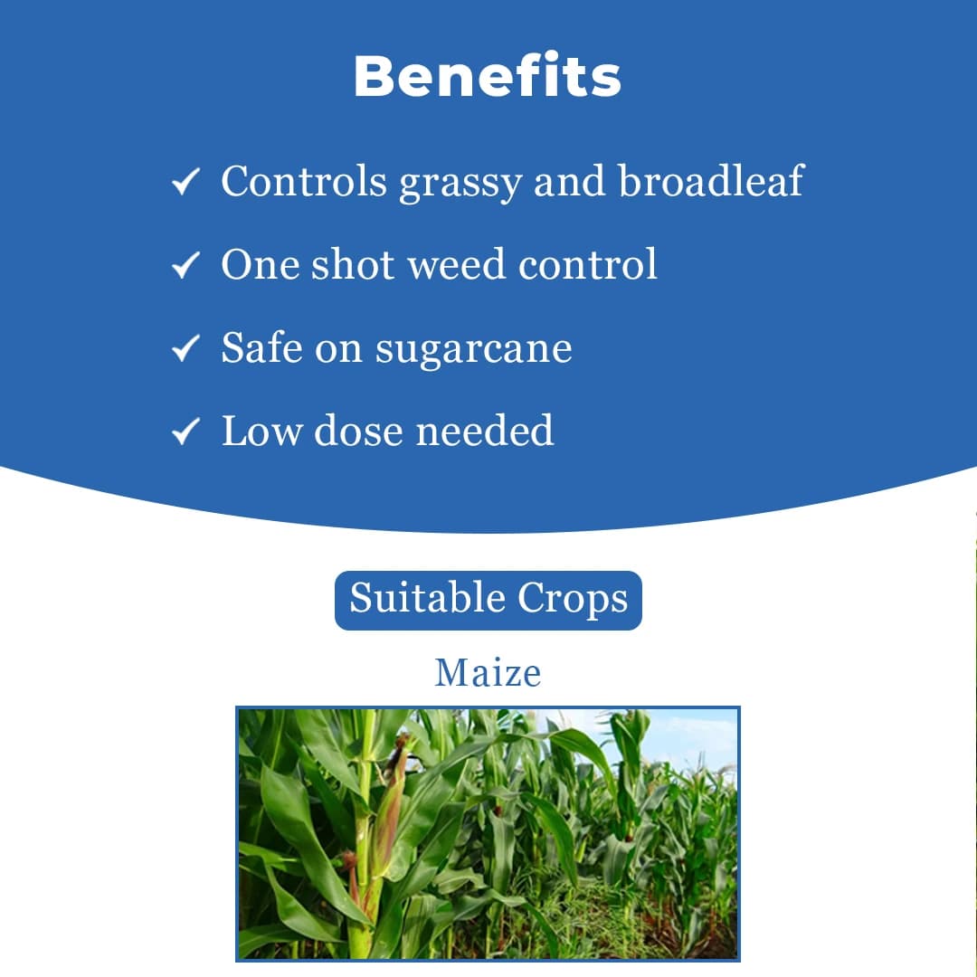 FMC Gilardo (30ml) + Etre (500gm) Topramezone 336 gl Herbicide, Effectively Control Broad Leaf Narrow Leaf Weeds In Maize Crop - Image 4