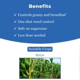 FMC Gilardo (30ml) + Etre (500gm) Topramezone 336 gl Herbicide, Effectively Control Broad Leaf Narrow Leaf Weeds In Maize Crop 4