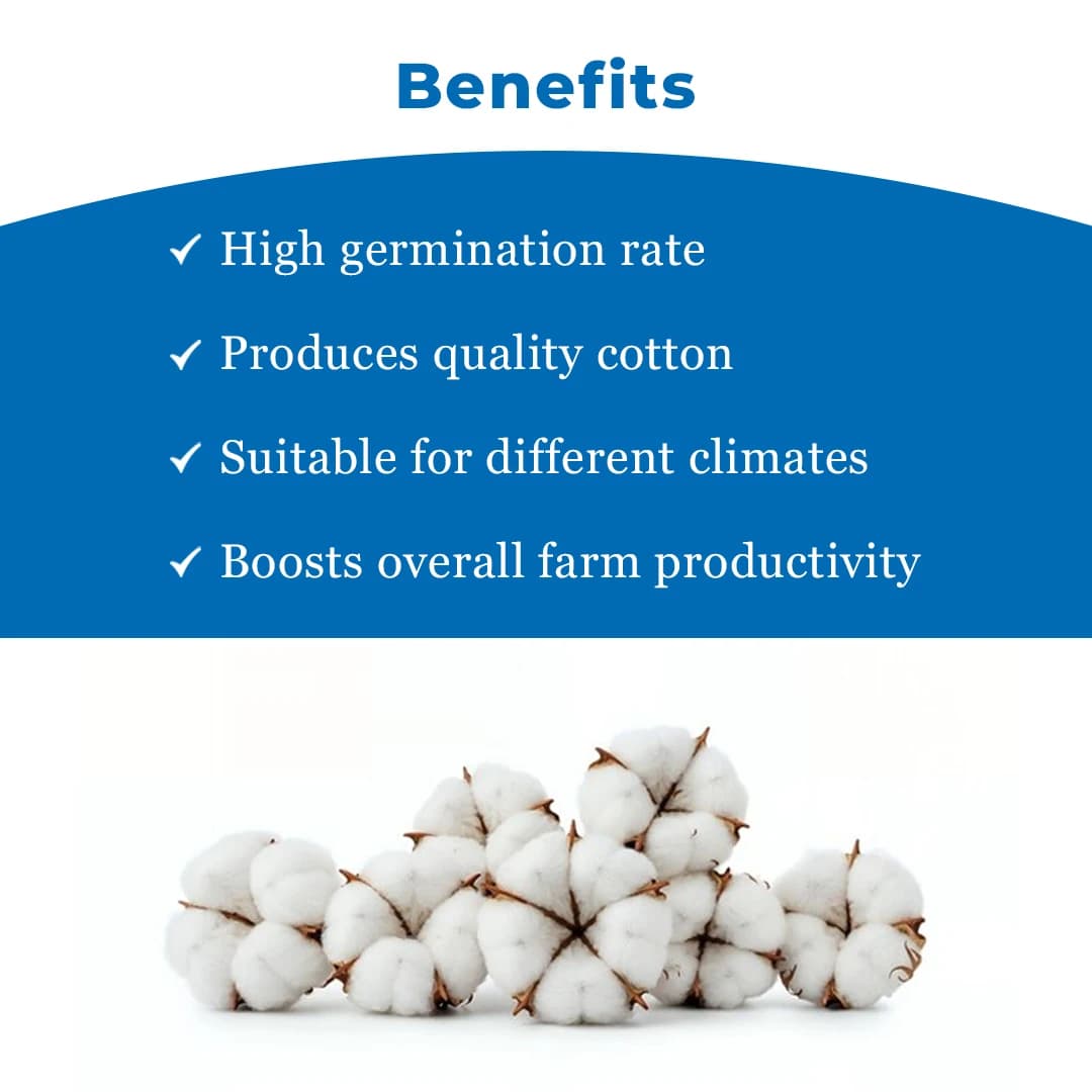 Nagraj BGII - Hybrid Cotton Seeds (475 Gm) Bollgard ll Technology, Kapas Ke Beej - Image 4