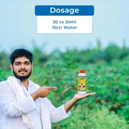 Pyrethrin Insecticide Household Fogging & Spray Liquid for Mosquitos, Bed Bugs, Flies, Cockroaches Pyrethrum Extract 2% Ideal Pesticide for Home Garde 5