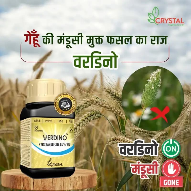 Crystal VERDINO Pypoxasulfone 85% WG Herbicide, Effective For Wheat - Image 2